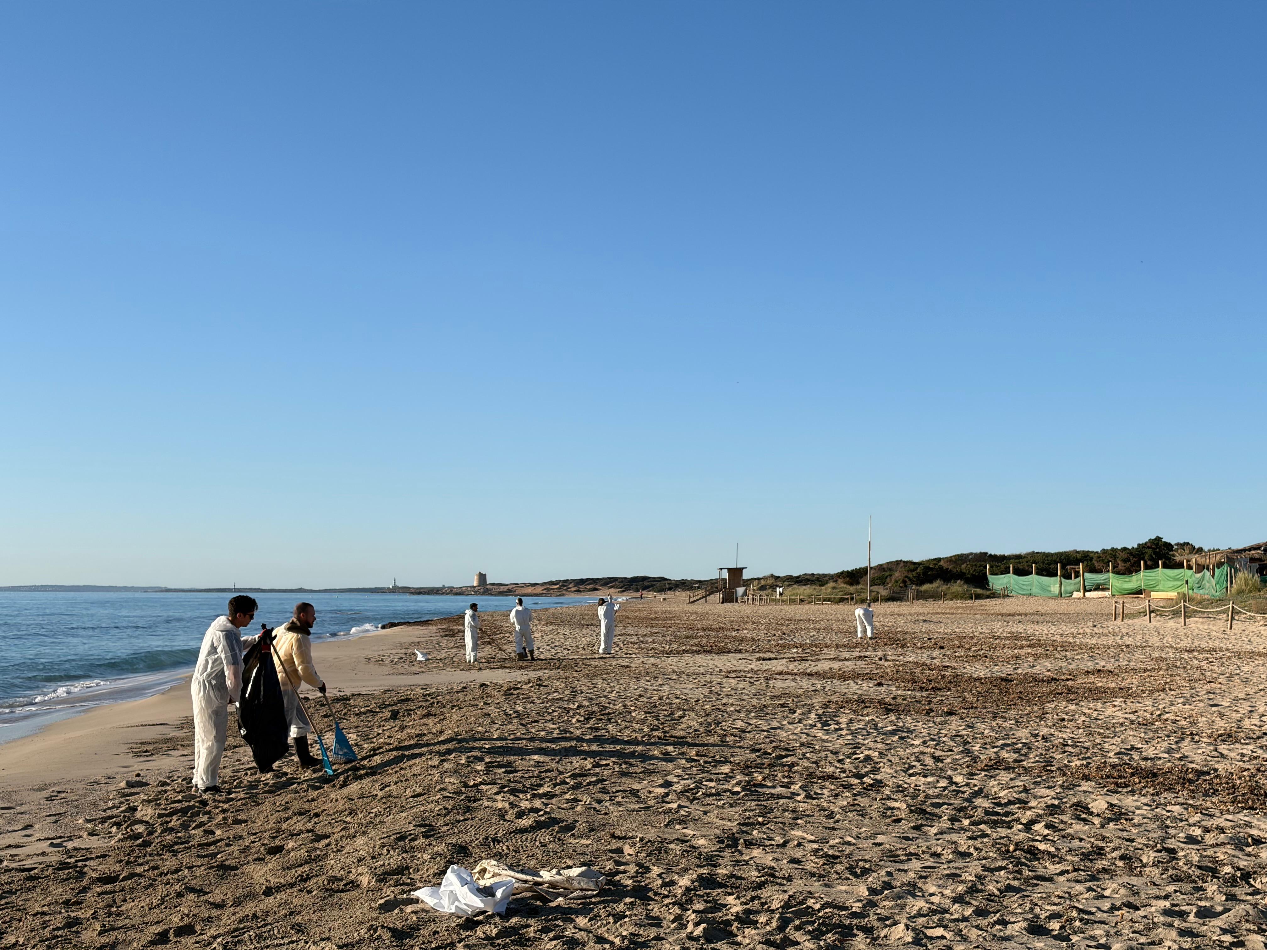 Limpieza en es Cavallet