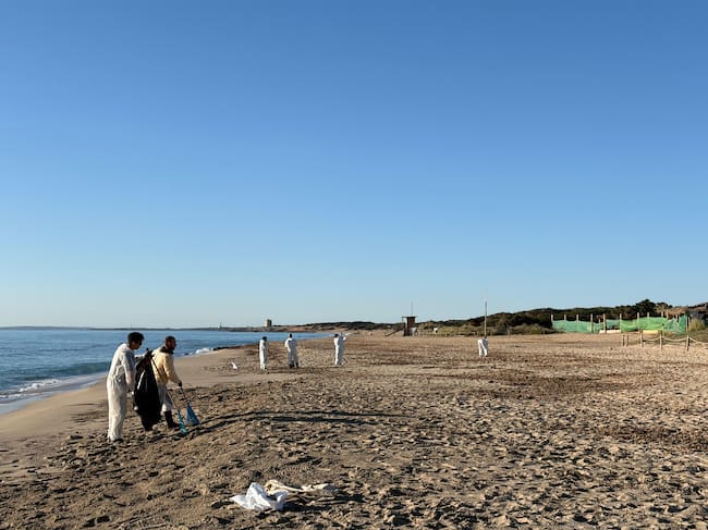 Limpieza en es Cavallet