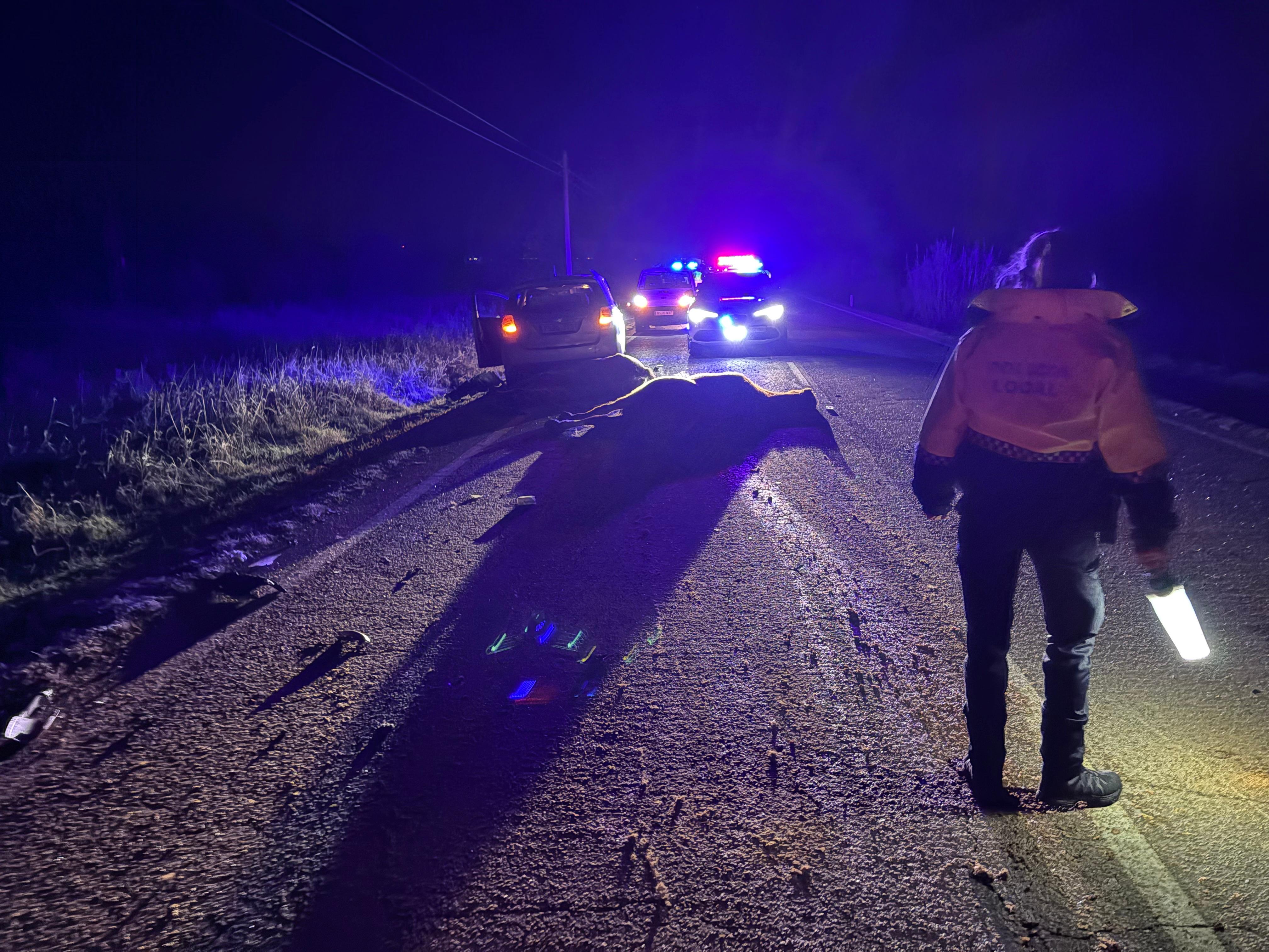 Herido un conductor al chocar contra dos Caballos en Ejea