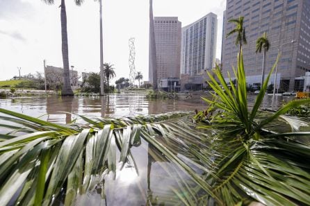 Calles inundadas y árboles derribados tras el paso del huracán Irma en Florida (Estados Unidos). Muchas áreas de la ciudad permanecen bajo toque de queda.