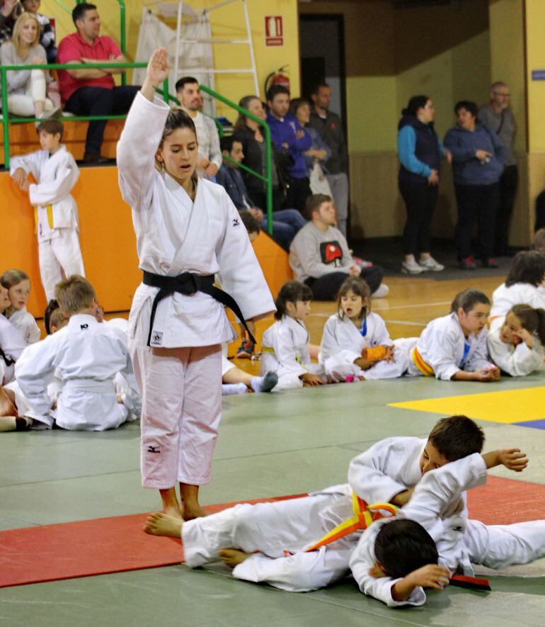 10O prticipantes, estarán en la cuarta y última jornada de la copa Diputació de Ourense de Judo.