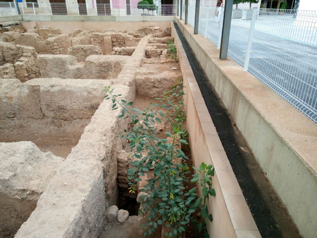 Maleza entre los restos arqueológicos