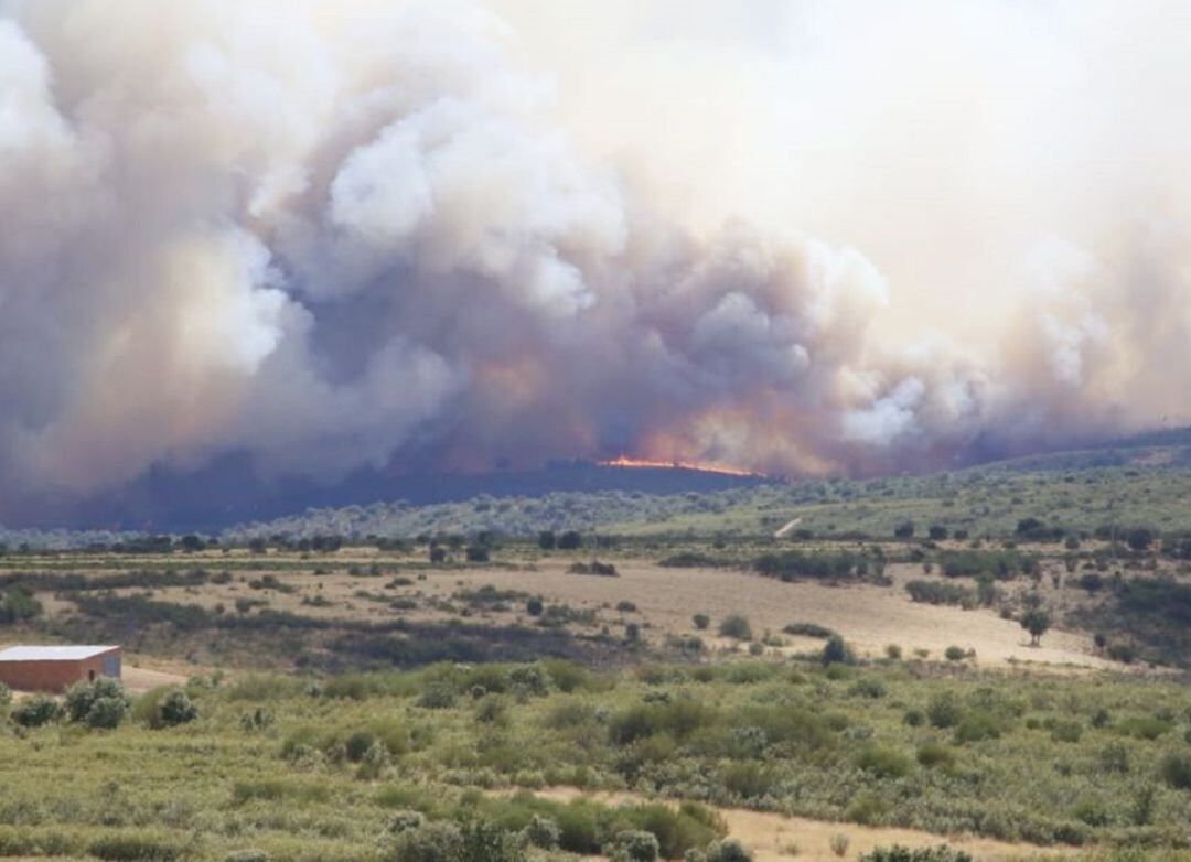 Imagen de un incendio forestal en Zamora