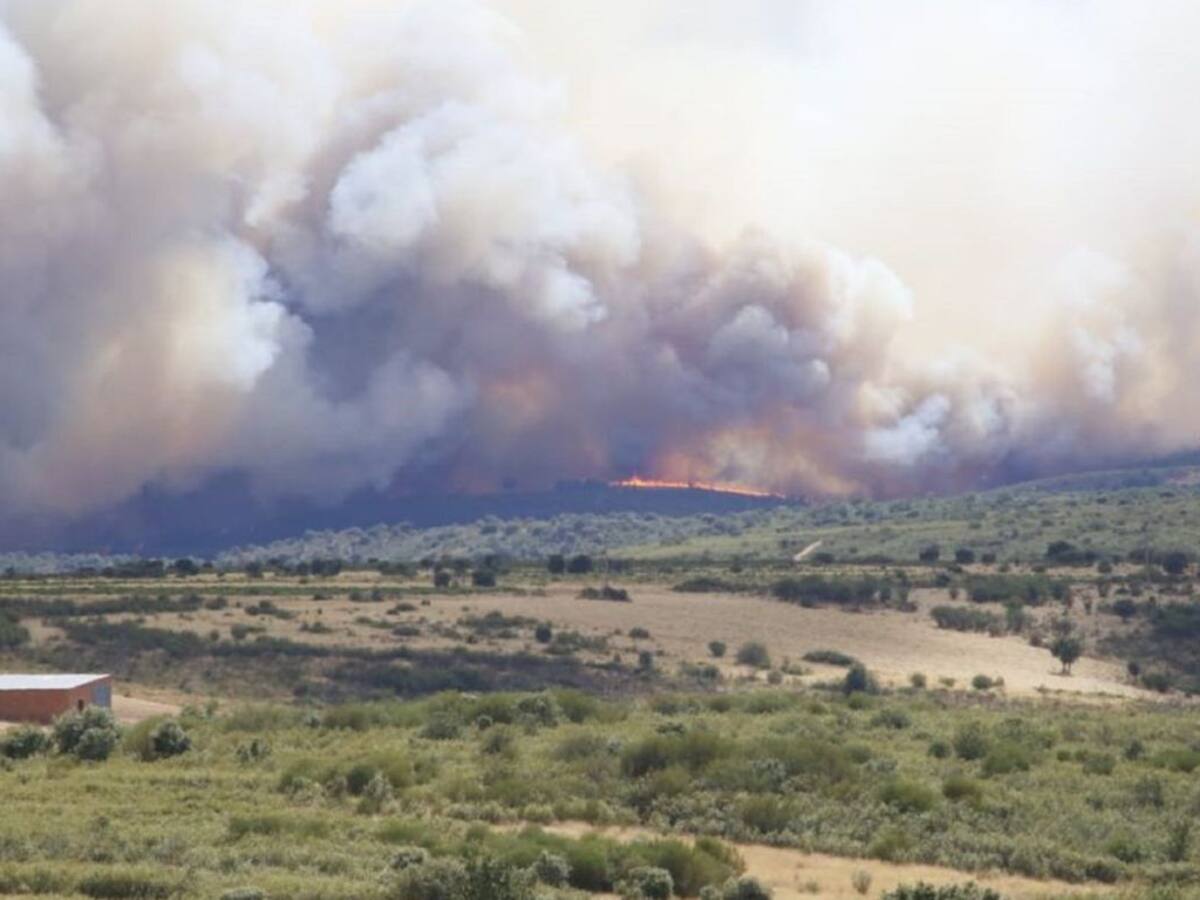 El incendio que llegó desde Galicia, controlado en su avance en Zamora