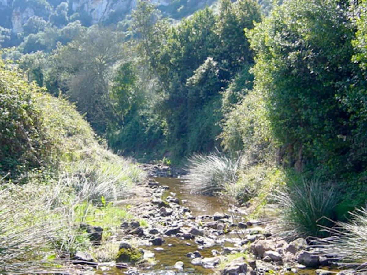 La neteja de torrents a Menorca arriba als 8,3 quilòmetres el 2023