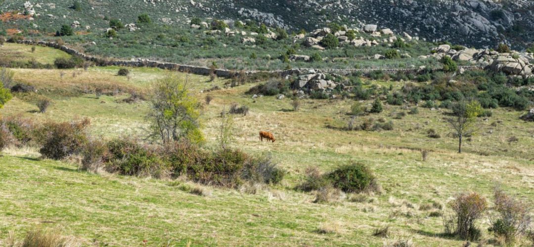 Sierra de Guadarrama