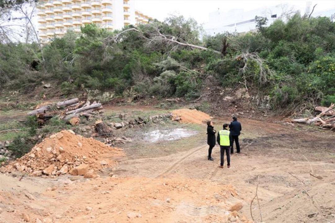 Daños causados por la DANA