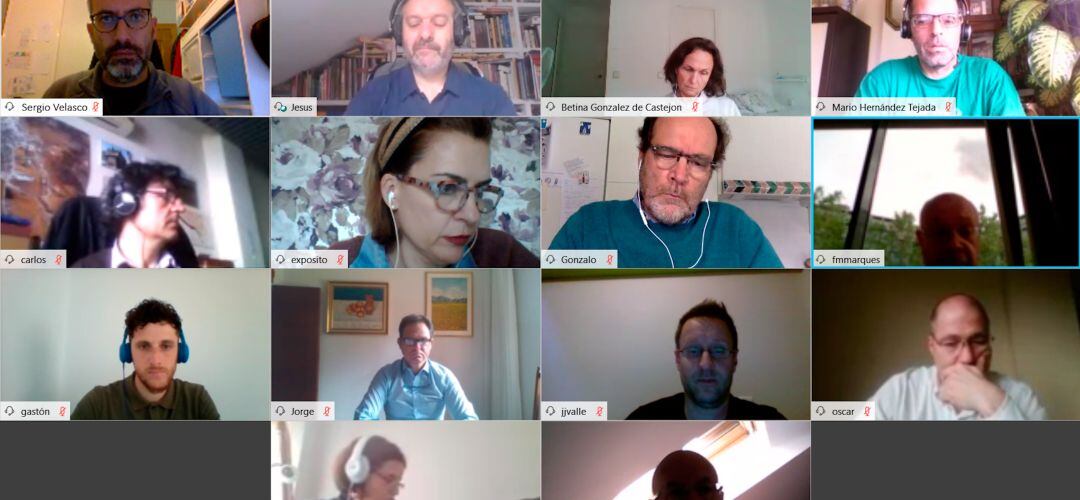 Comisión informativa celebrada de manera virtual