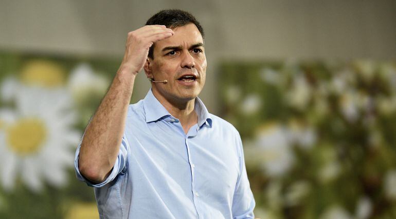 El líder del PSOE, Pedro Sánchez, durante un acto preelectoral del partido en Torrelavega