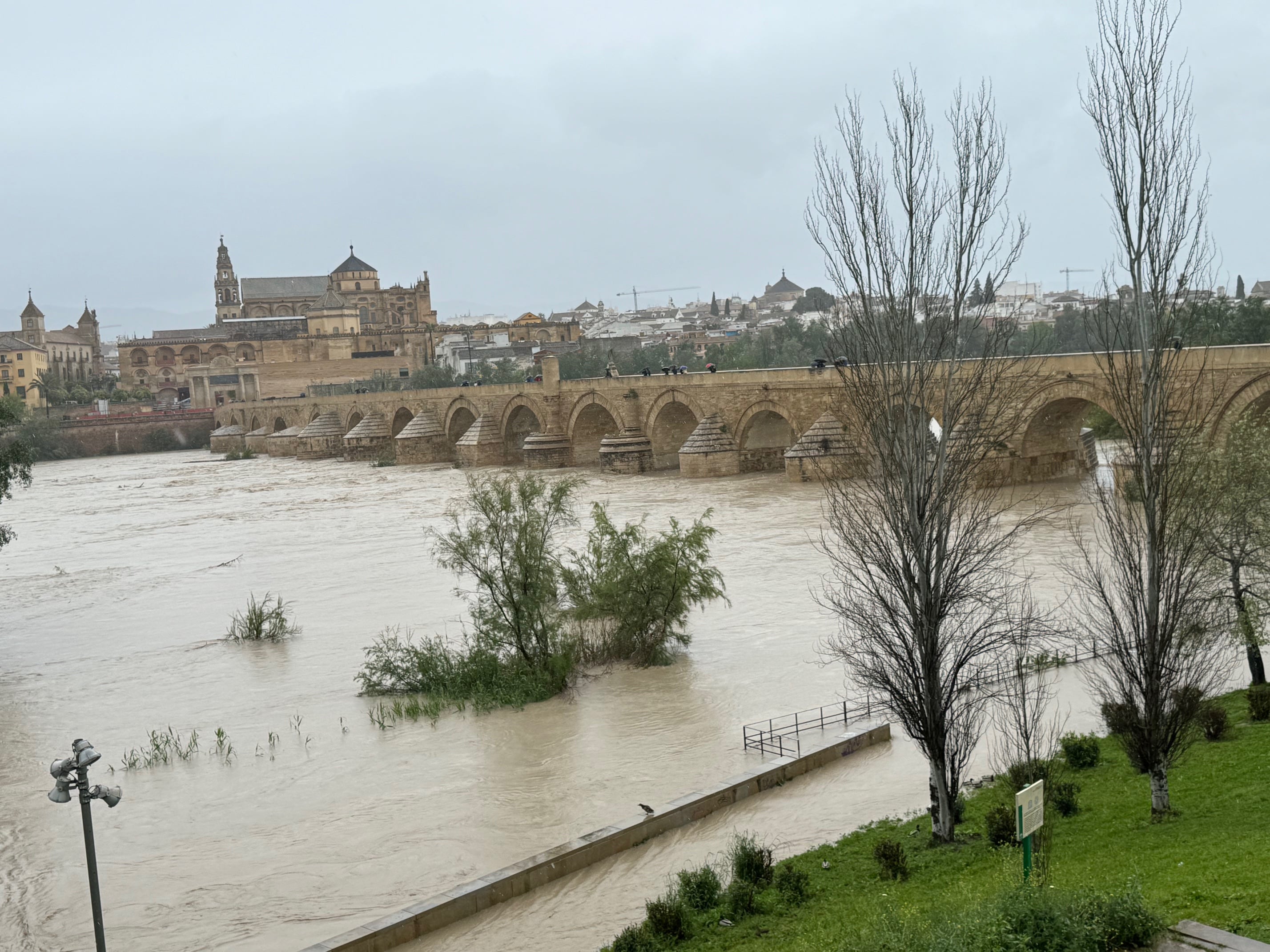 Río Guadalquivir a su paso por Córdoba (Jose Antonio Alba)