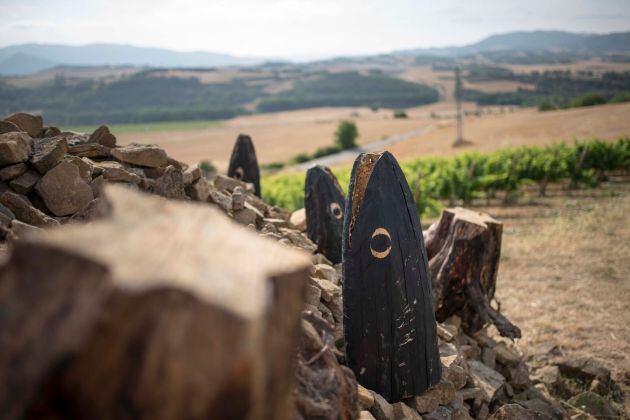 Campo de estrellas, de Roberto Pajares.