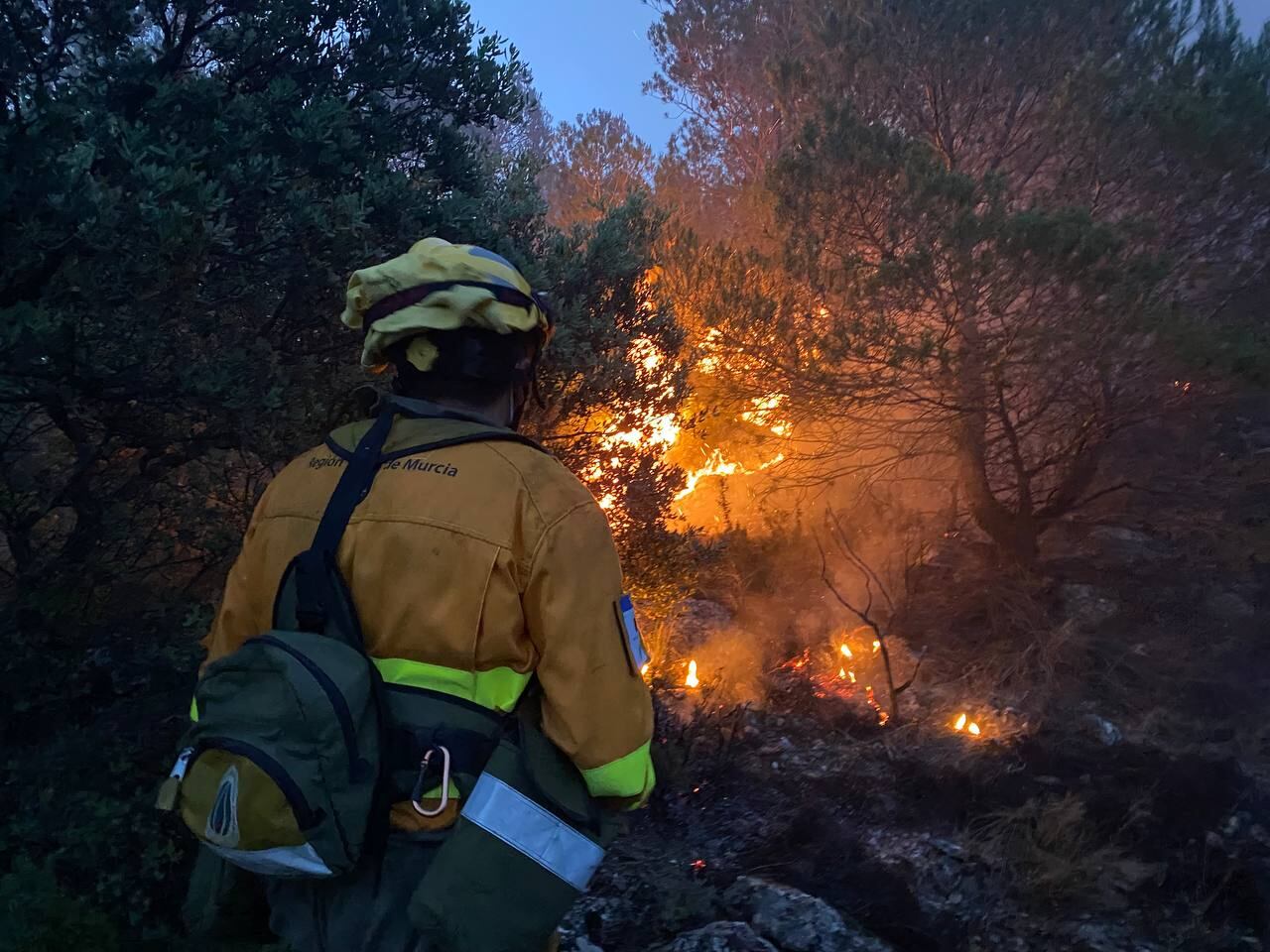 Incendio en la Sierra de la Pila (Fortuna)