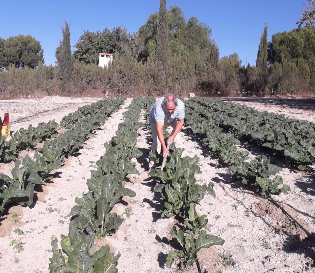 Domingo, en su Eco Huerto Sax.