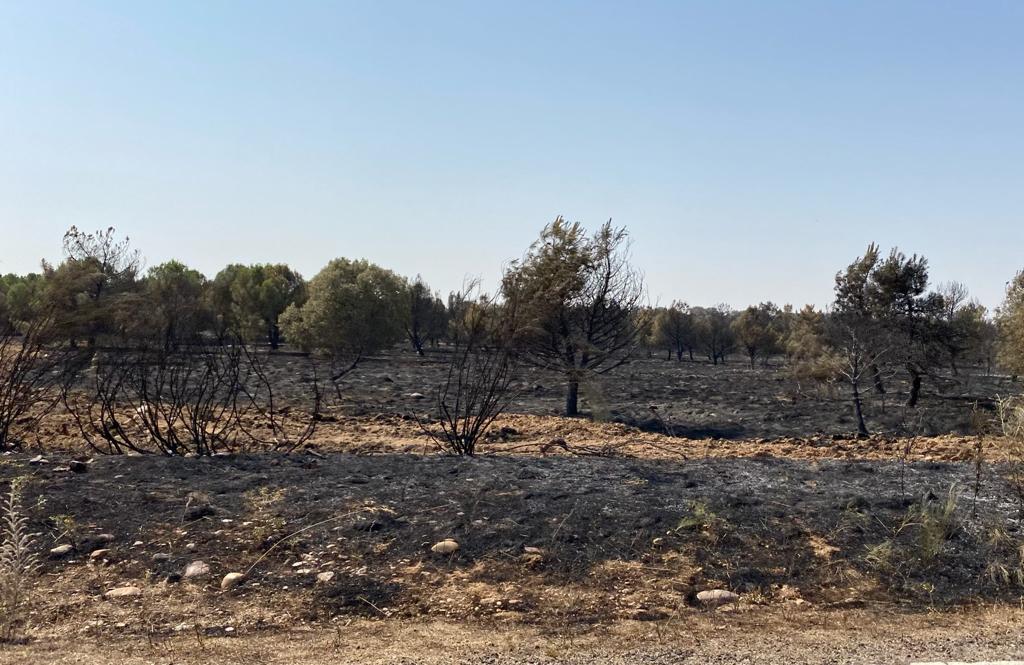 Imagen de la zona de las Riberas de Castronuño afectada por el incendio