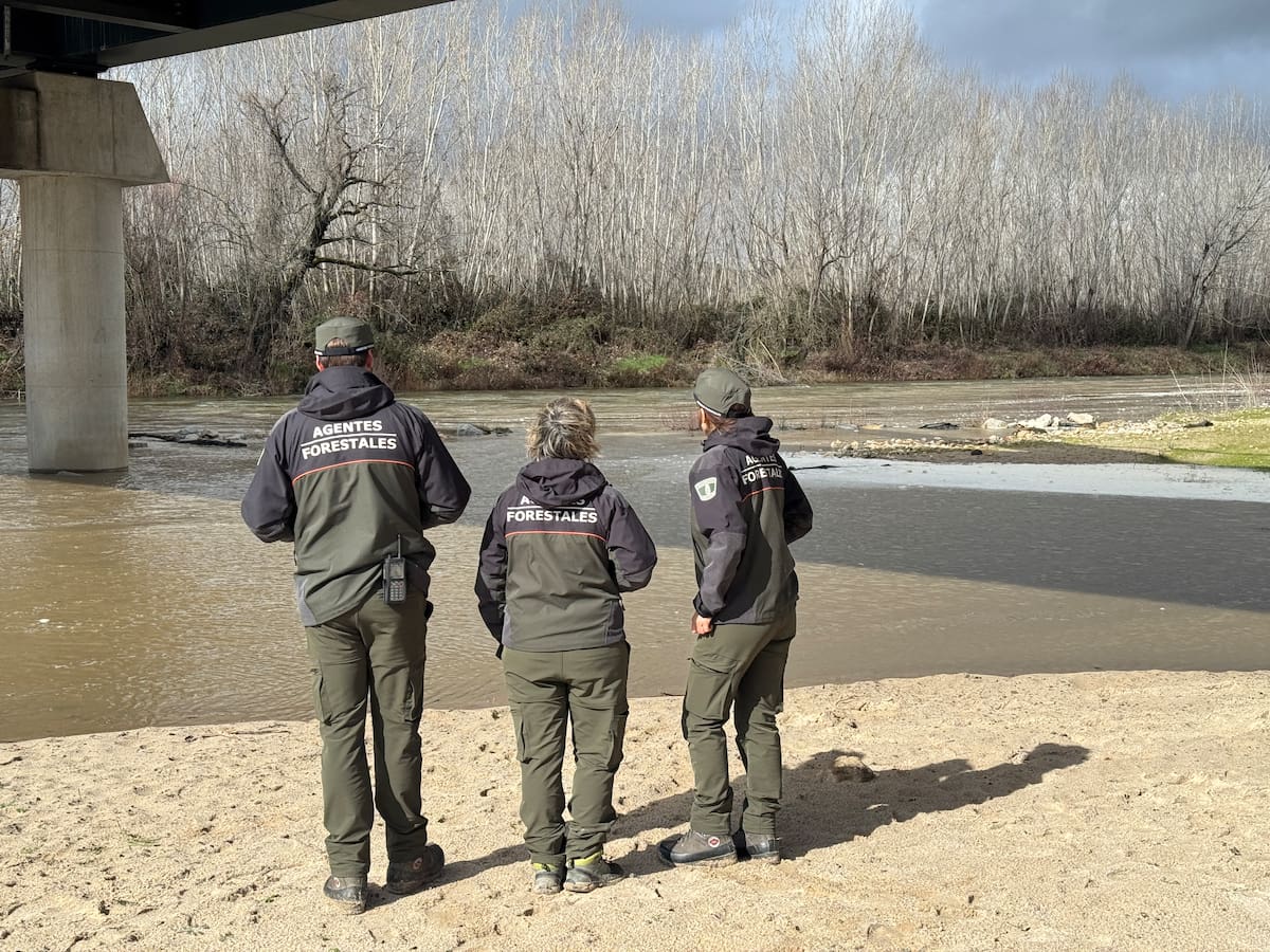 En enero ha llovido en la Comunidad de Madrid un 52,4% más que la media histórica
