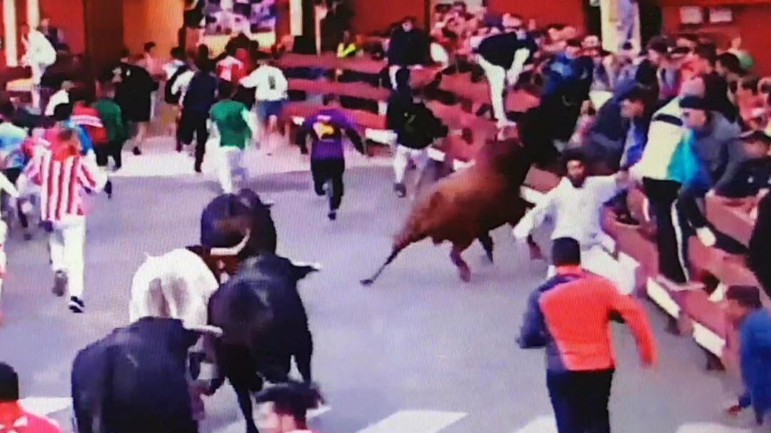 Momento de la cogida de un joven de 20 años antes de entrar a la plaza.
