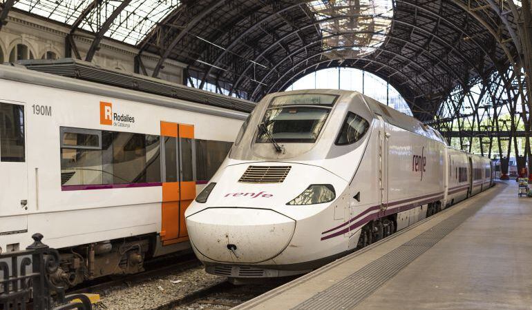 Tren Alvia, de llarga distància.