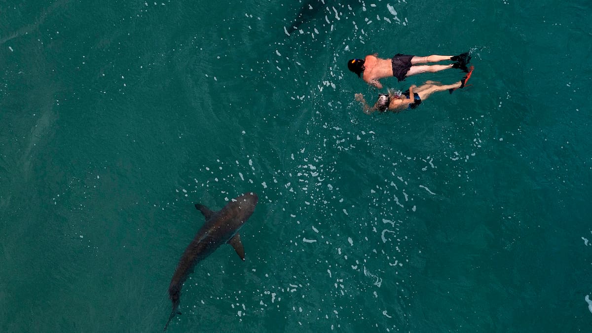 Entrevista a María Pozo, investigadora del grupo 'Ecología y Conservación Marina' (UMU)