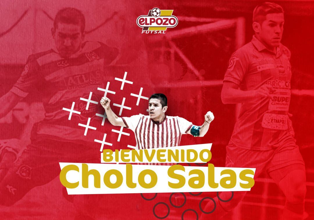 Cholo Salas, nuevo jugador de ElPozo Murcia