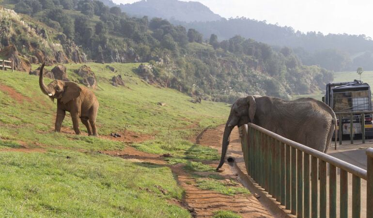 Parque de la Naturaleza de Cabárceno.
