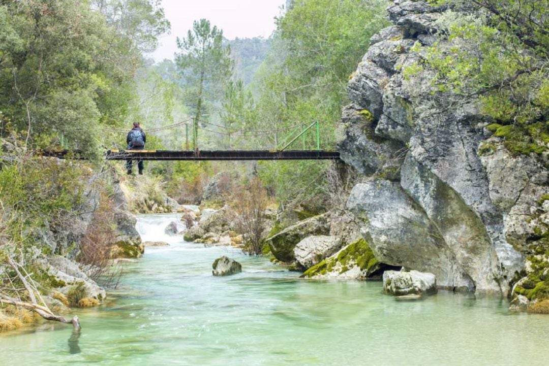 Puente sobre el río Borosa, en el parque natural de las Sierras de Cazorla, Segura y la Villas (Jaén).