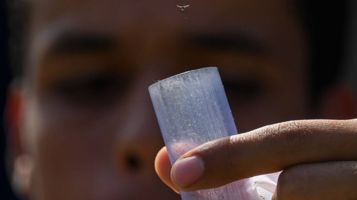 Basilio Valladares, especialista en enfermedades tropicales: "De momento estamos bien"