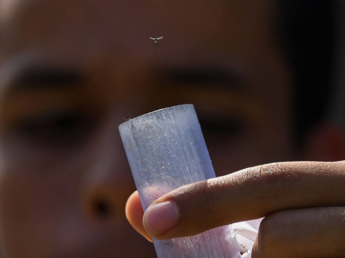 Basilio Valladares, especialista en enfermedades tropicales: "De momento estamos bien"