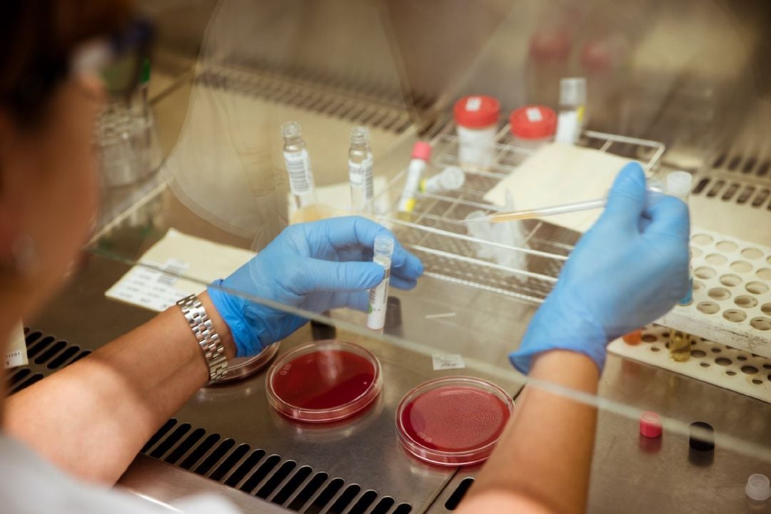 Los más pequeños aprenderán durante esta crisis experimentos científicos.