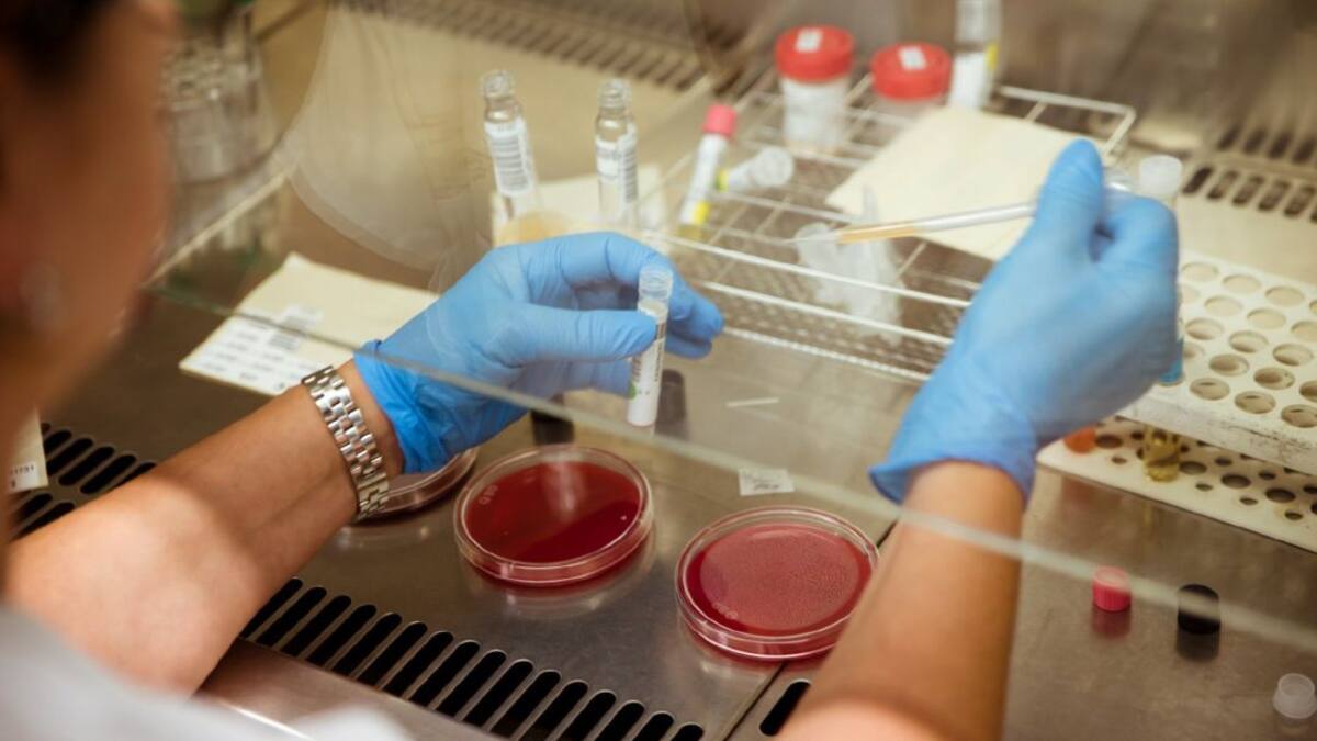 Experimentos científicos para seguir aprendiendo durante la crisis del coronavirus