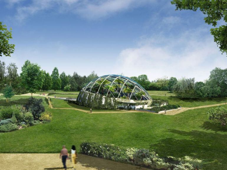 Boisque del carbonífero, proyecto de la Ciuden