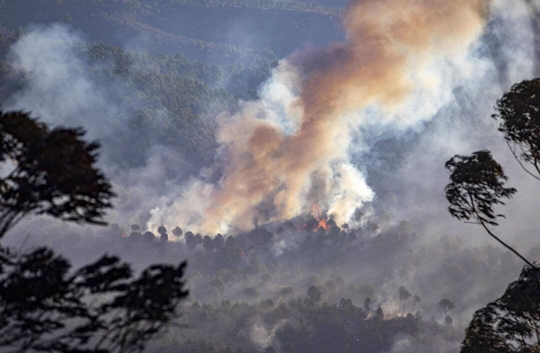 Imagen del incendio forestal declarado el pasado jueves en el paraje de Olivargas de Almonaster la Real (Huelva)