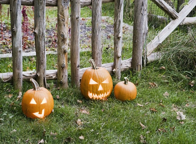 Los disfraces, las calabazas, el truco o trato y los caramelos están ganando cada vez más terreno