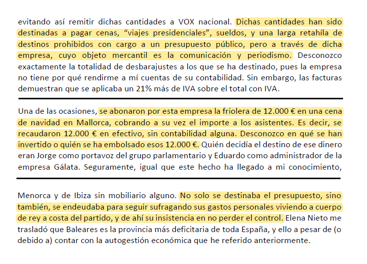 Fragmentos del informe remitido por De las Heras a la dirección nacional de Vox