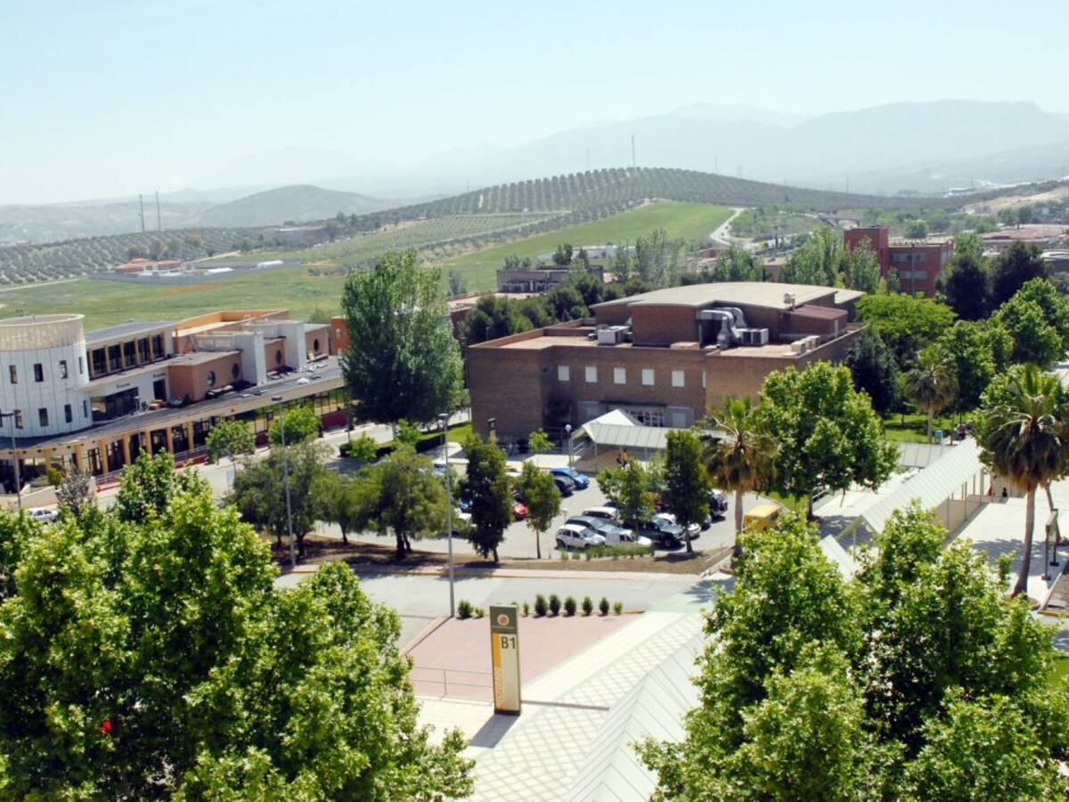 La UJA contará con un Instituto Universitario de Inteligencia Artificial