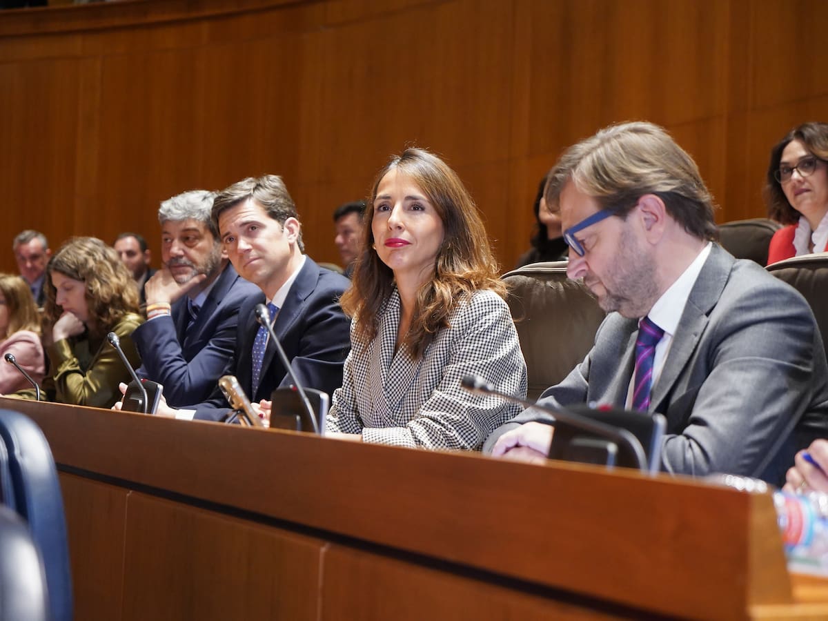 María Navarro, del PP, es la nueva presidenta de las Cortes de Aragón