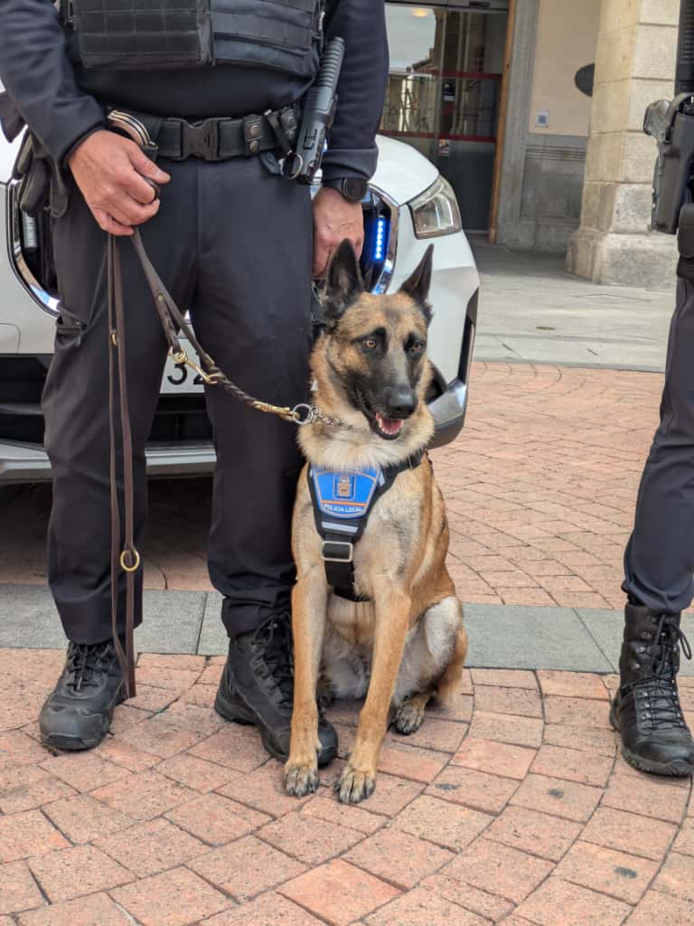 Kira, nueva agente de la Policía Local de Ávila