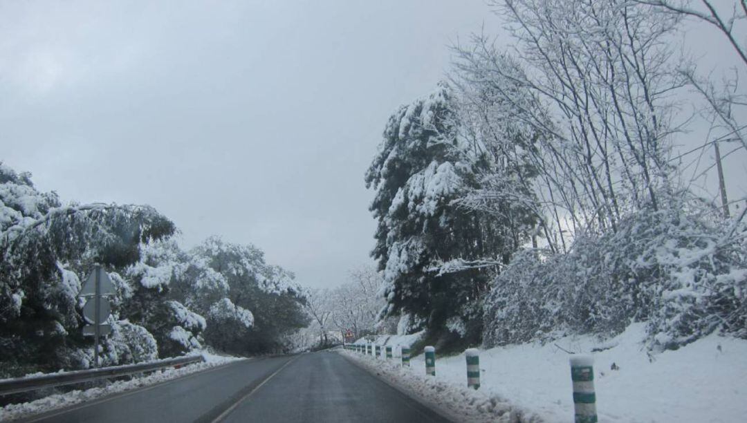 Una carretera, nevada plenamente.