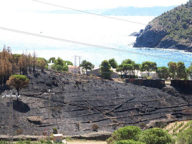 Imatges de l'incendi.