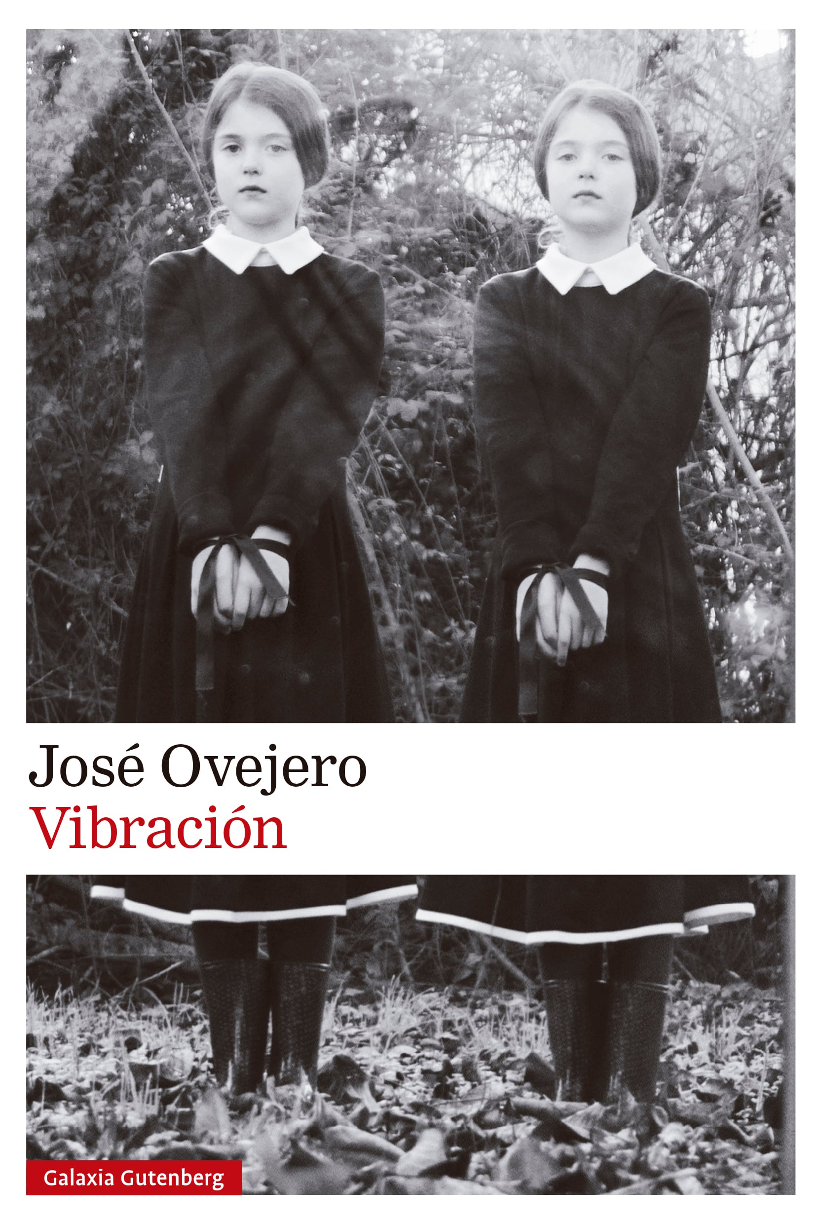 Cubierta de &#039;Vibración&#039;, de José Ovejero