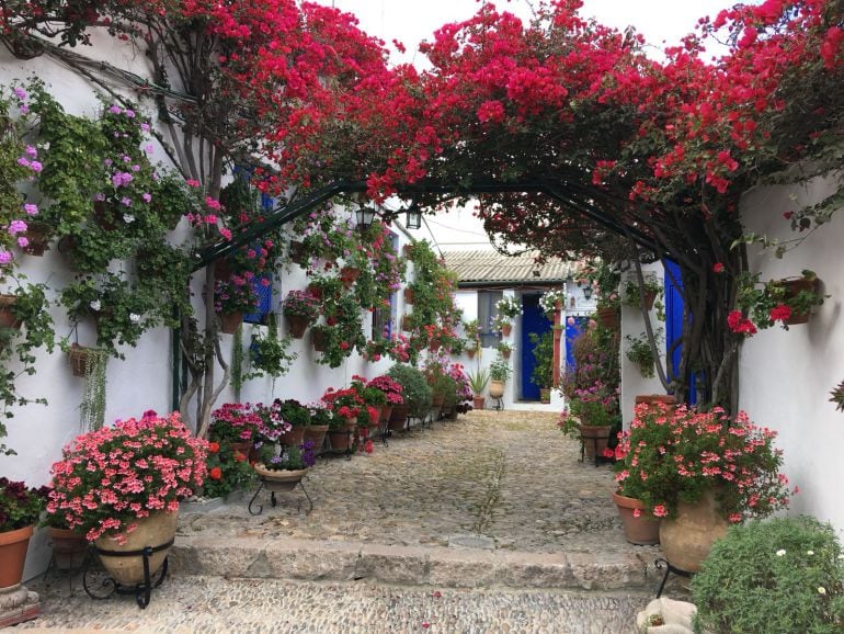 Patio de Marroquíes, 6. Primer Premio en Arquitectura Antigua