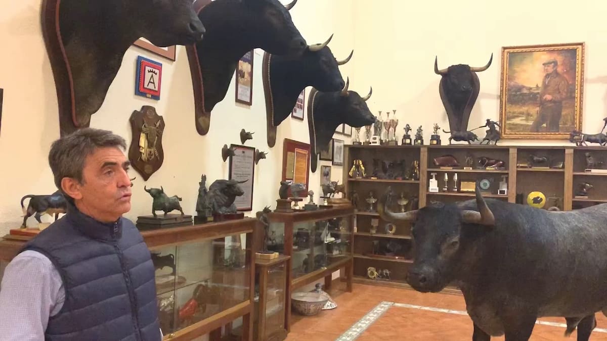 Entrevista con Victorino Martín