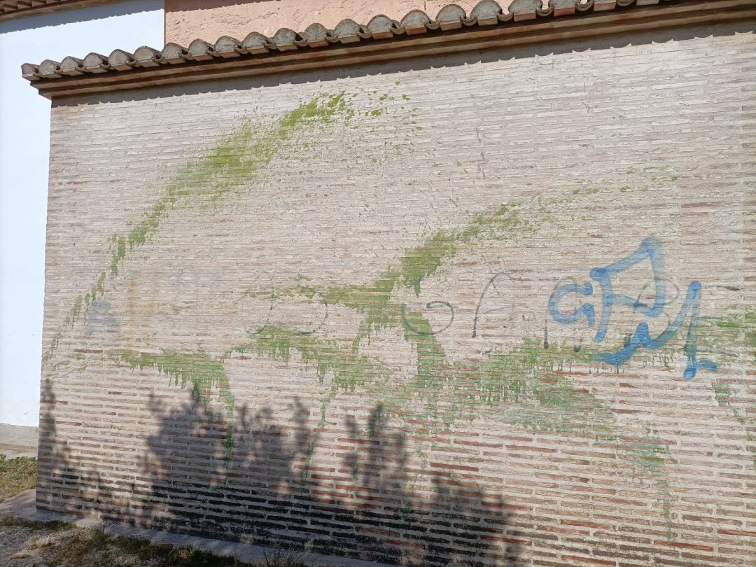 Pintadas en la Mezquita de la Xara de Simat de la Valldigna 