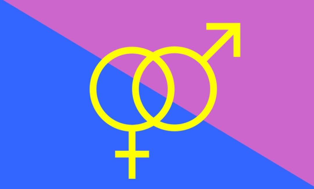 La bandera del &#039;orgullo hetero&#039;.