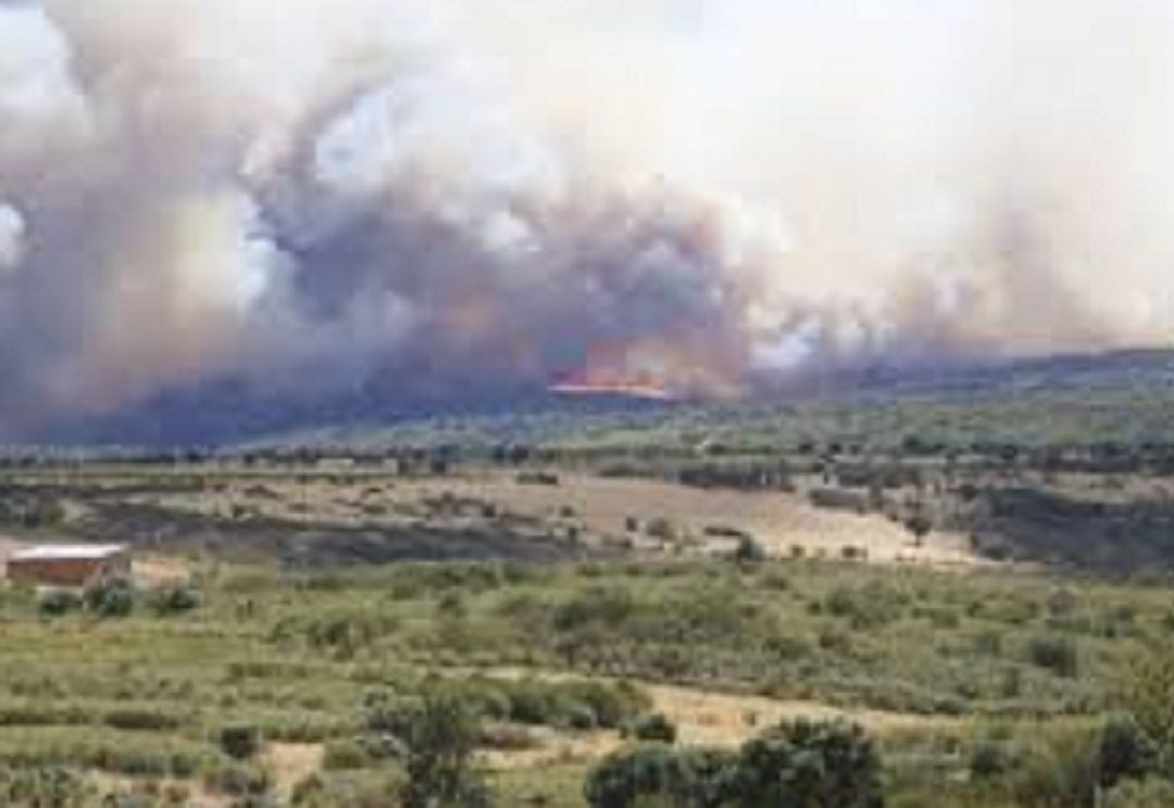 Incendio de este verano en Lober de Aliste