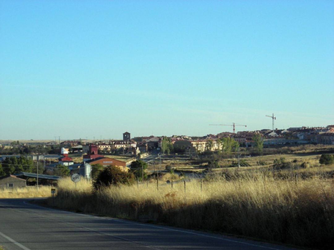 Libera! pide la máxima sanción al novillero y a los organizadores de un evento taurino en Espirdo