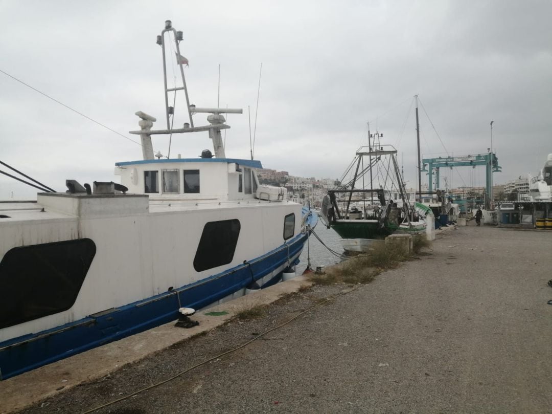 Barcas de arrastre en la cofradía de Ibiza