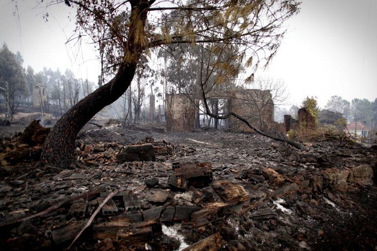 Devastación en un monte del concello de As Neves.