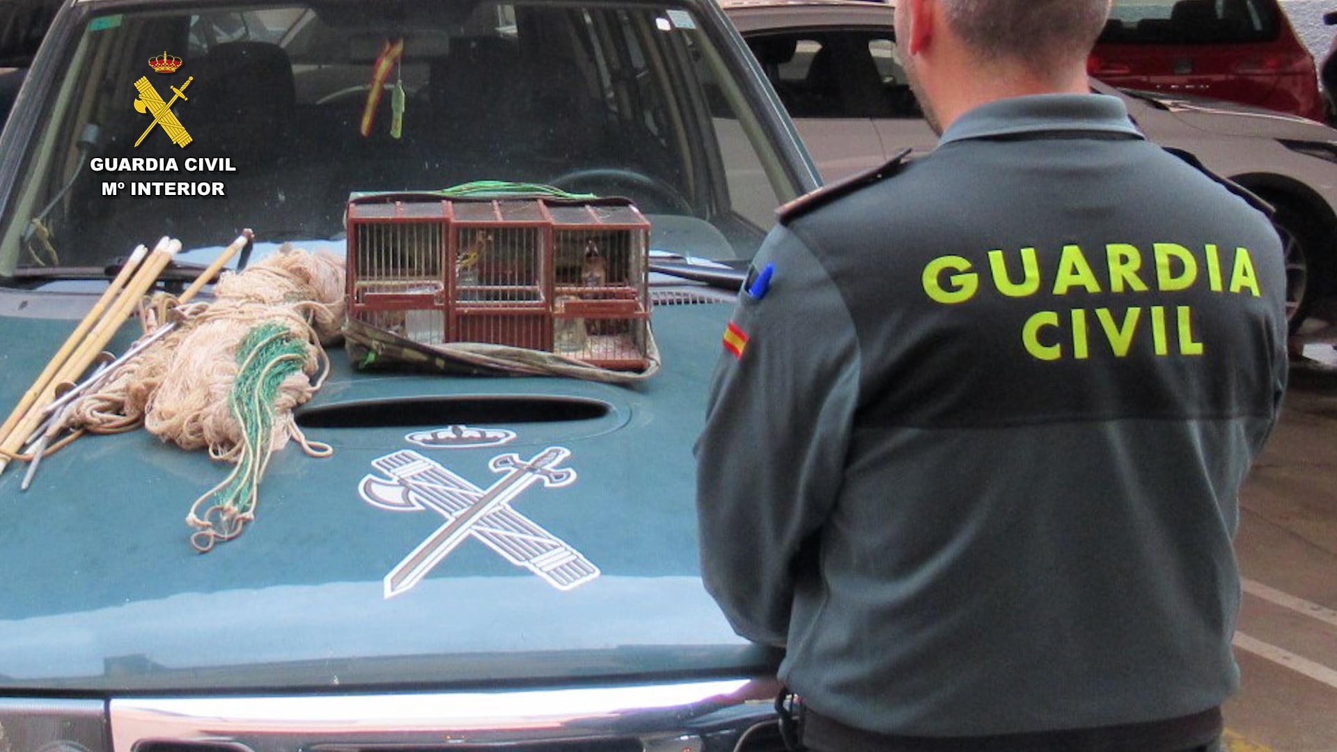 La Guardia Civil sorprende en Águilas un cazador furtivo capturando aves silvestres