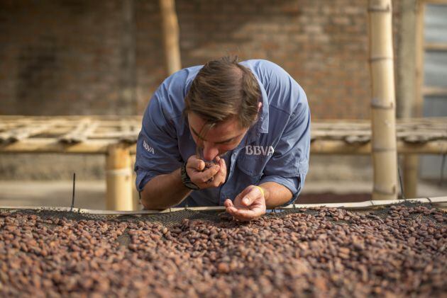 &quot;La complejidad aromática del cacao es similar a la del vino&quot;.