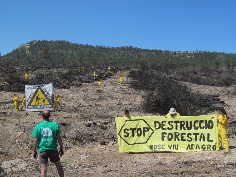 Movilización contra la extracción de biomasa